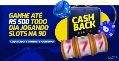 Dog House Variações